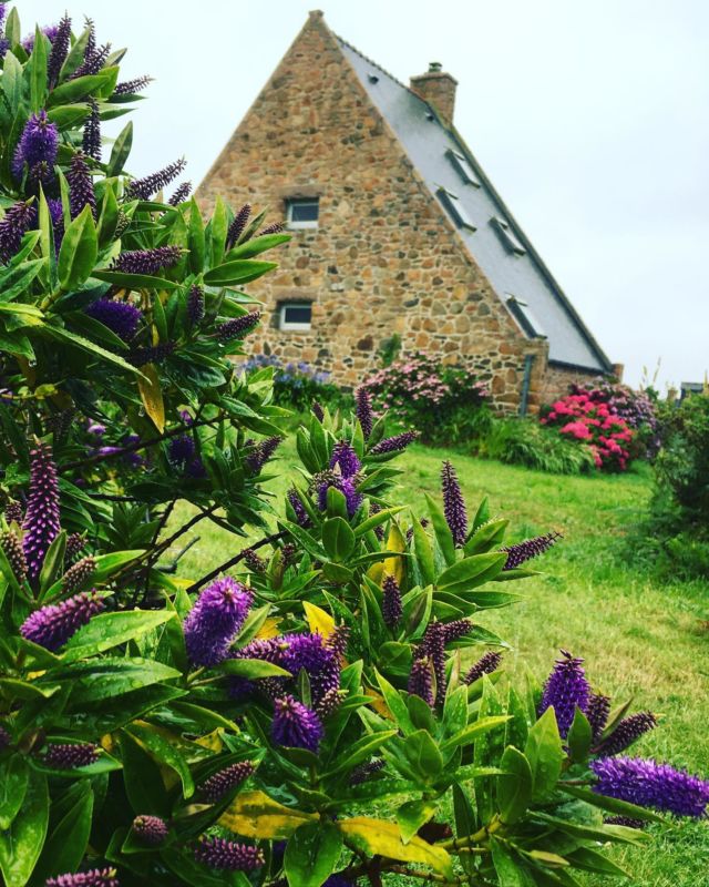 From Bréhat with love 😍 
 
On m’avait annoncé l’île aux fleurs 🌺, je n’ai pas été déçue par cette si jolie petite île bretonne aux 1001 jardins...
 
Imaginez une très grande variété de plantes : agapanthes (2), hortensias, roses trémières, rhododendrons, passiflores et autres espèces répondant aux noms exotiques de « tisons de satan »(3), « gueules de loup » ou encore « belles toutes nues »...☺️
 
Imaginez des végétaux déployant leurs plus beaux atours pour créer une palette ultra colorée à en faire pâlir tous les arcs-en-ciel du continent 🌈
 
Imaginez un paysage verdoyant qui fleure bon la nature à l’état pur, sans artifice : un pêle-mêle sensationnel de fenouil, d’immortelle, de fougère, d’embrun, de pin, de chèvrefeuille, de géranium…si je vous dis qu’au détour d’un chemin j’ai même senti dans l’air une pointe de caramel, vous ne me croirez pas…et pourtant c’est vrai, demandez aux mouettes rieuses qui papotaient à côté ! 

Vous comprendrez qu'une fois le pied posé dans ce petit paradis coloré et parfumé, on ne veut plus le quitter...🤩
 
#labretagnecavousgagne 
#voyagesensoriel 
#storysmelling 
#bretagne 
#brehat