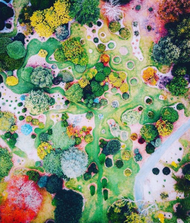 Et si on partait loin, très loin pour se poser le temps d’un été, dans ce jardin botanique ultra coloré et sans doute très parfumé, du Mont Lofty en Australie.
A vos rêves ❤️ Partez ! 
Image par Bo Le via @tuberosamx 🤩